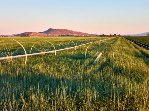 Oregon Agricultural Real Estate Photography