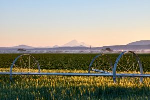 Oregon Agricultural Real Estate Photography